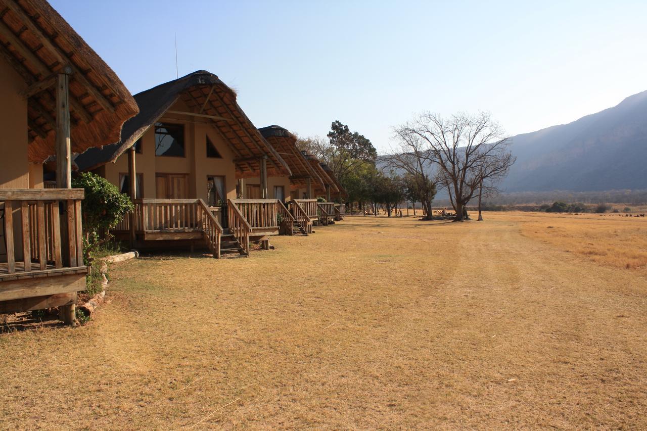 Wildside Safari Camp Villa Golders Green Rom bilde